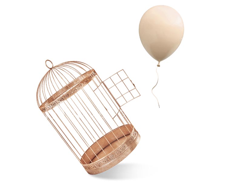 The Donors Fund The Donors Fund