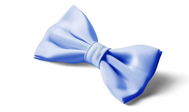 The Donors' Fund Bow Tie