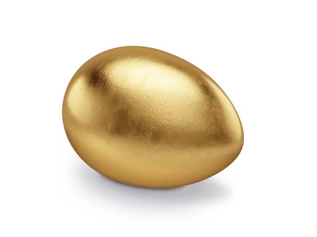 The Donors' Fund Golden Egg
